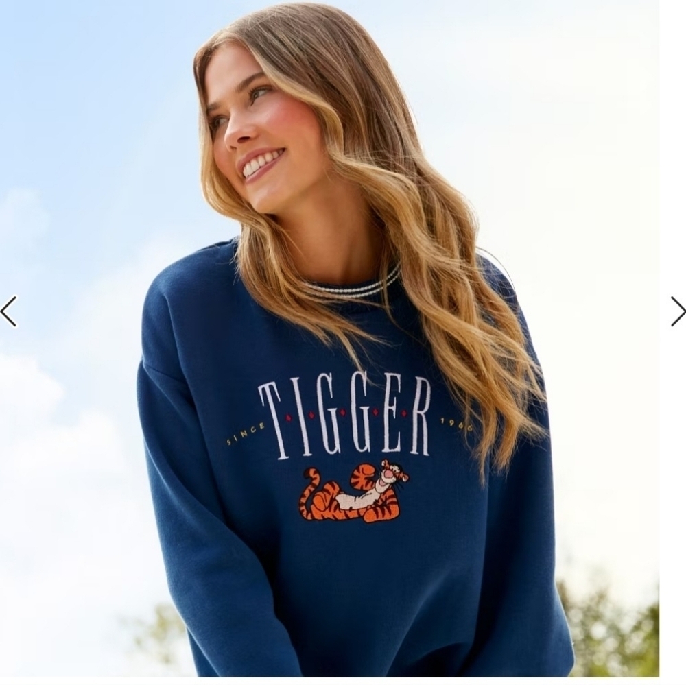 Disney Parks Winnie The Pooh Tigger Pullover Sweater